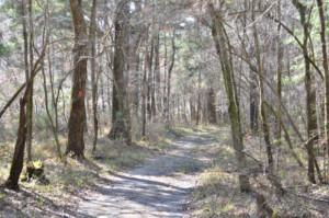 Hiking Path at Hinson Recreation Area along the Chipola River Greenway