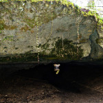 Tunnel Cave