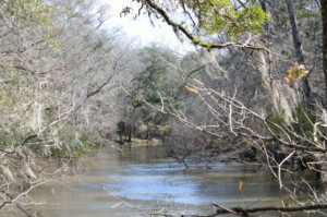 View of the Chipola River at Hinson Recreation Area along the Chipola River Greenway