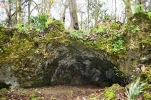 One of many natural shelter caves at Florida Caverns State Park