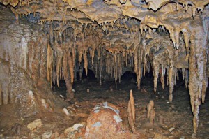 Formations found inside the Florida Caverns